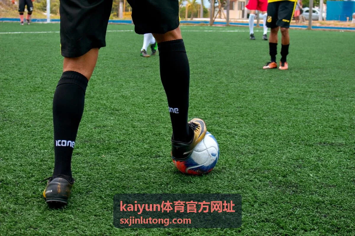 kaiyun体育官方网址 官方入口核对配图