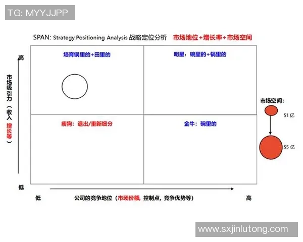 深圳排球队在杯赛中的团队协作表现分析与启示